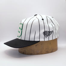 Load image into Gallery viewer, Winged Stripe Snapback Hat - Green
